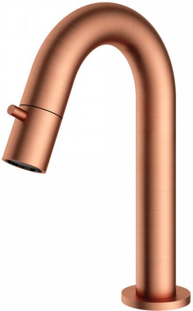 Hotbath Fonteinkraan Dude 1-knop gebogen 19.3 cm Rond Geborsteld Koper Living Colours