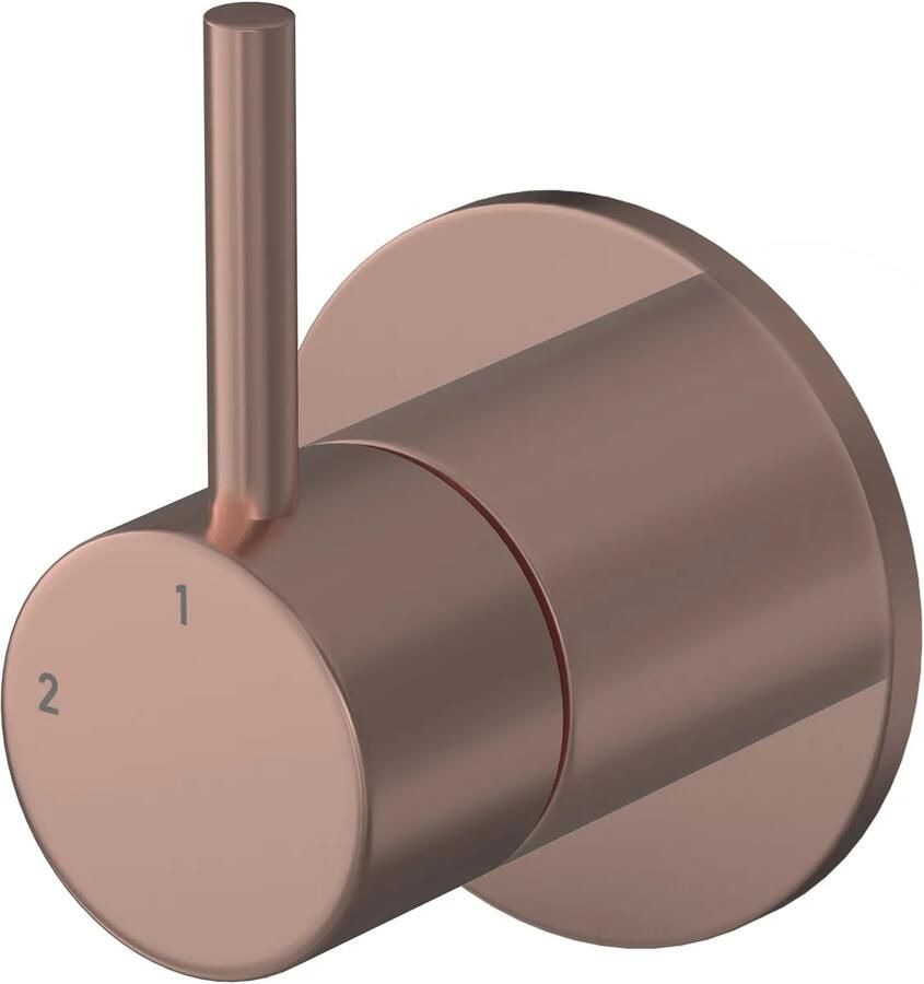 Hotbath BUDDY Afbouwdeel Inbouw 2-weg omstel Geborsteld Koper PVD (B111EXTBCP) - Foto 2
