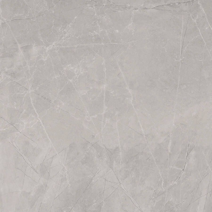 Jabo Bayona Silver vloertegel grijs mat 120x120cm gerectificeerd