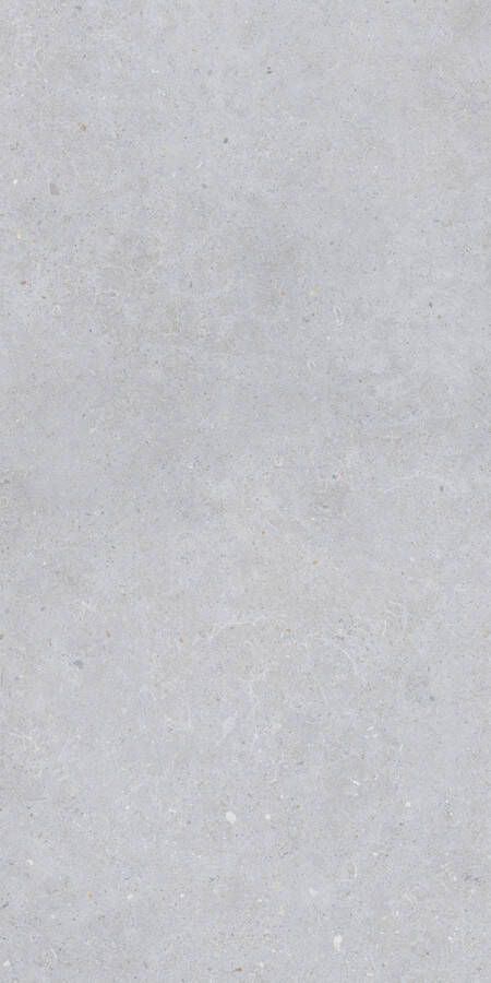 Jabo Brera Street vloertegel lichtgrijs 60x120cm gerectificeerd