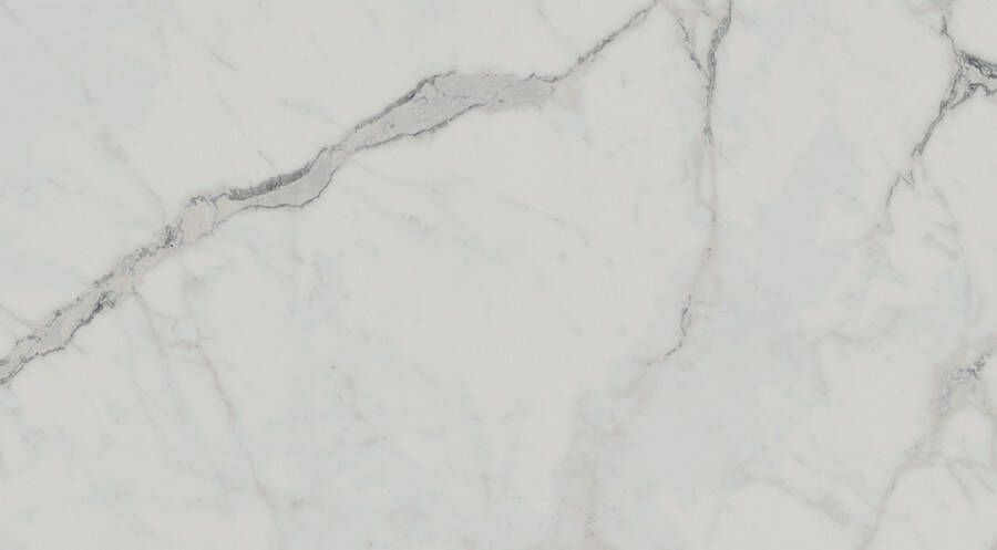 Jabo Exigo Statuario wandtegel lichtgrijs gepolijst 30.5x56cm gerectificeerd