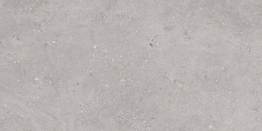 Jabo Flax Grey keramische terrastegel 60x120cm gerectificeerd