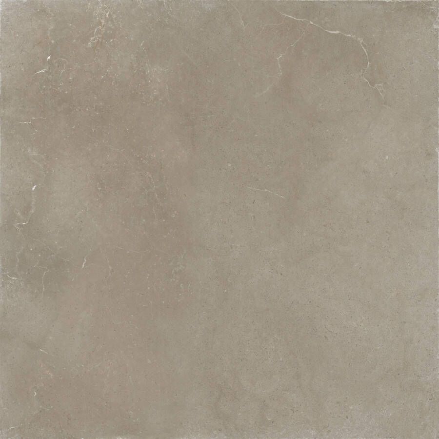 Jabo Hollstone Sour vloertegel taupe 60x60cm gerectificeerd