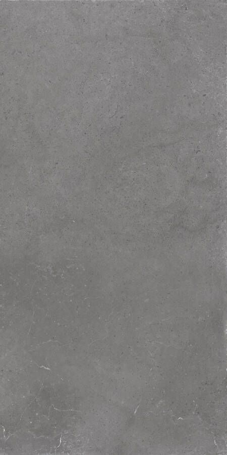 Jabo Hollstone Storm vloertegel grijs 30x60cm gerectificeerd