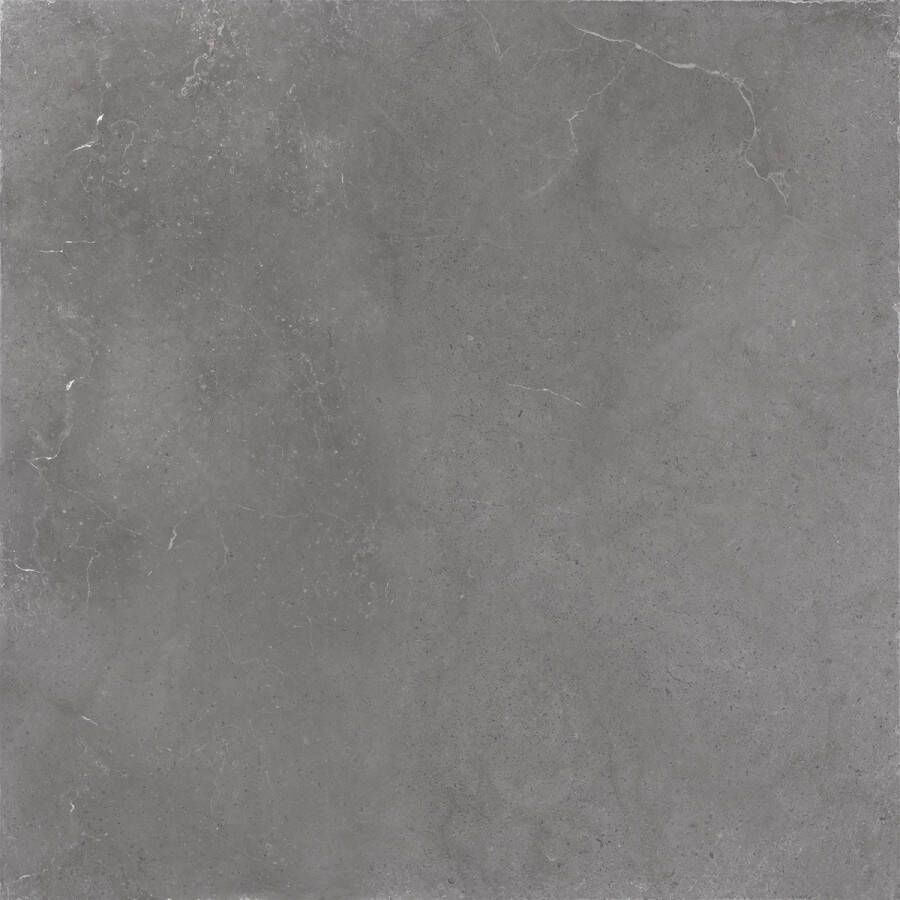 Jabo Hollstone Storm vloertegel grijs 60x60cm gerectificeerd