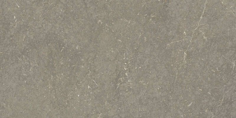 Jabo Munich Taupe wandtegel 25x50cm