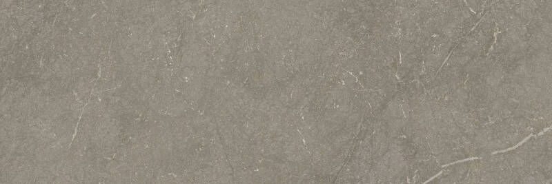 Jabo Munich Taupe wandtegel 40x120cm gerectificeerd