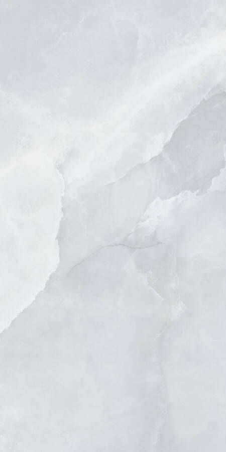 Jabo Onyx Grey vloertegel 30x60cm gerectificeerd