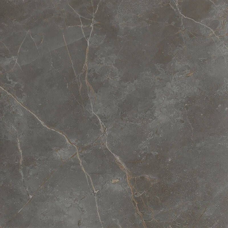 Jabo Roma Stone Pietra Grey vloertegel 120x120cm gerectificeerd
