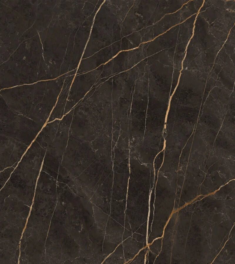 Jabo Saint Laurent vloertegel zwart marmer mat 120x120cm gerectificeerd