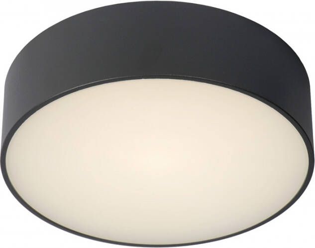 Lucide Roxane Plafonnière Badkamer Ø 25 cm LED 1x10W 2700K IP65 Antraciet