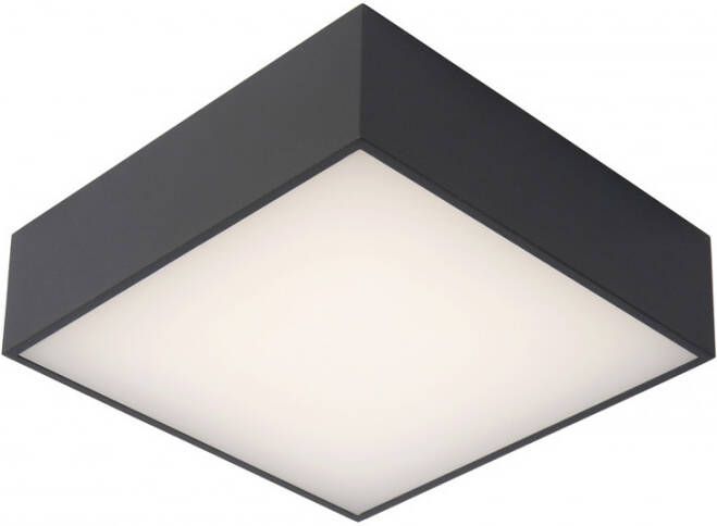 Lucide Roxane Plafonnière Badkamer LED 1x12W 2700K IP54 Antraciet