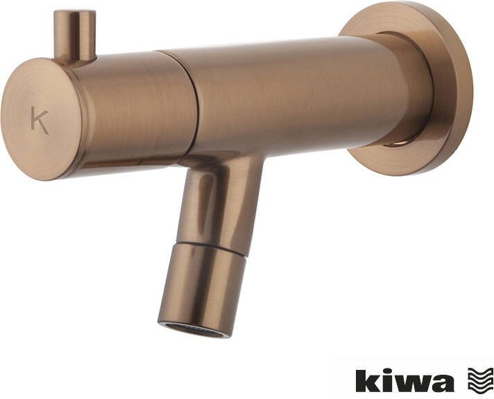 Mueller Bronzo toiletkraan muurbevestiging geborsteld brons PVD