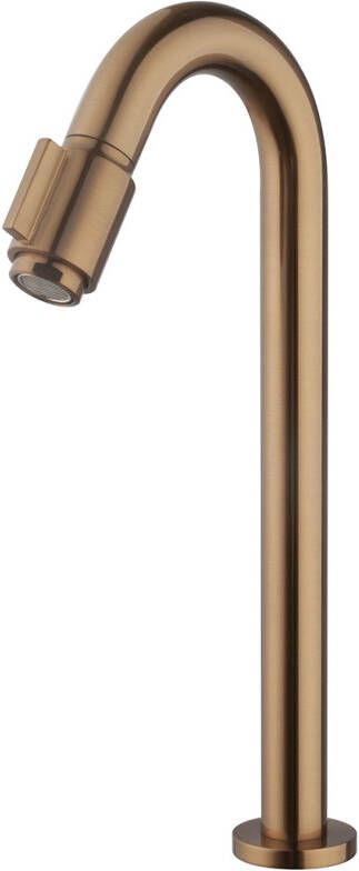 Mueller Bronzo toiletkraan XL geborsteld brons PVD