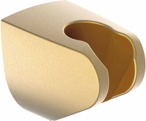 Mueller Gold kunststof handdouchehouder wand geborsteld messing