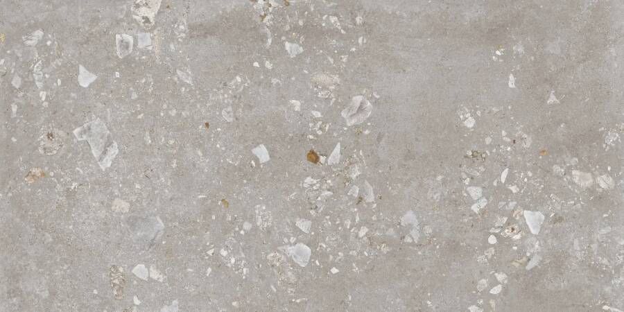 Navale Colmey vloertegel terrazzo 60x120cm lichtgrijs gerectificeerd