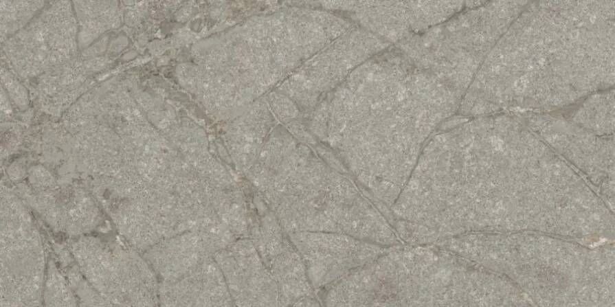 Navale Lasalle vloertegel 60x120cm grijs glans gerectificeerd