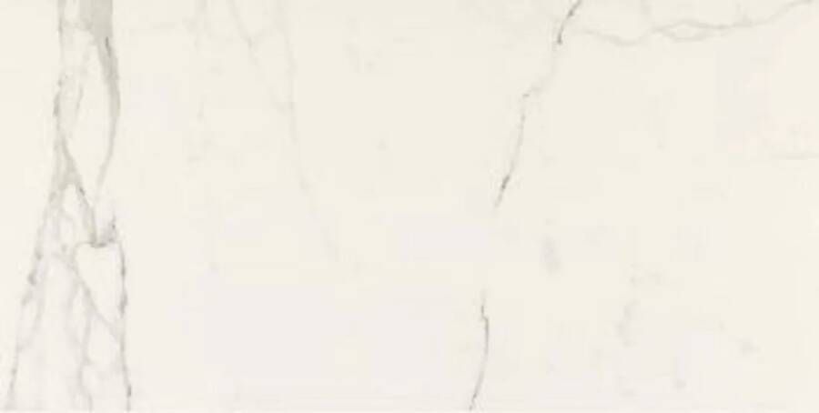 Navale Mármore vloertegel antislip 60x120cm statuario mat gerectificeerd