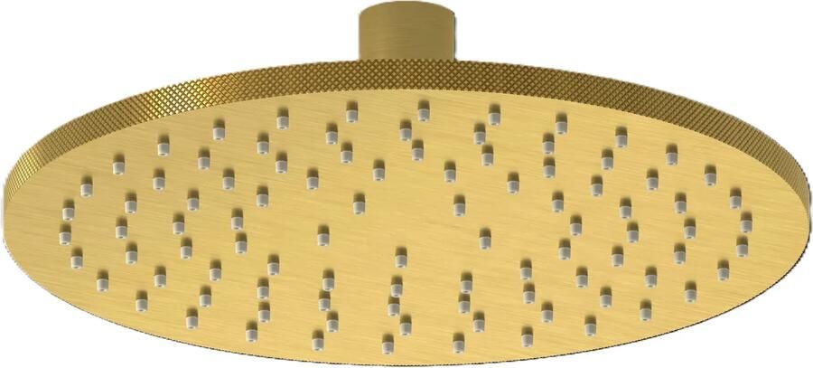 Plieger Roma hoofddouche 25cm messing geborsteld