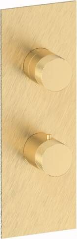 Plieger Roma inbouwdouchekraan thermostatisch met omstel geborsteld goud UA611_D BRUSHED GOLD - Foto 2