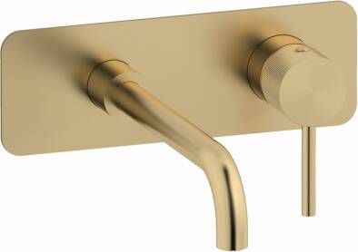 Plieger Roma wandkraan met lange uitloop geborsteld goud ID206 BRUSHED GOLD