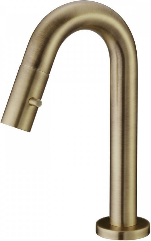 Salenzi Fonteinkraan Opbouw Giro Gebogen Gegalvaniseerd Geborsteld Messing Goud