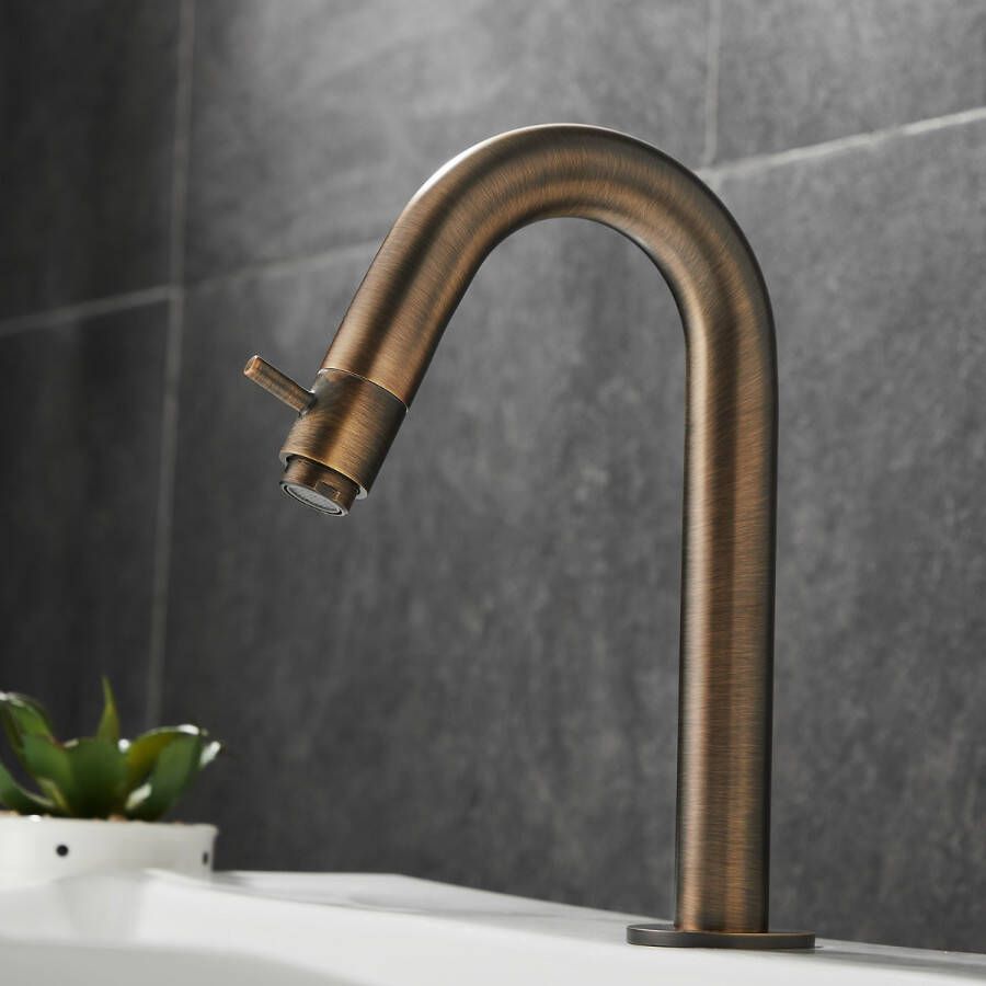 Saniclear Antique gebogen fonteinkraan verouderd messing