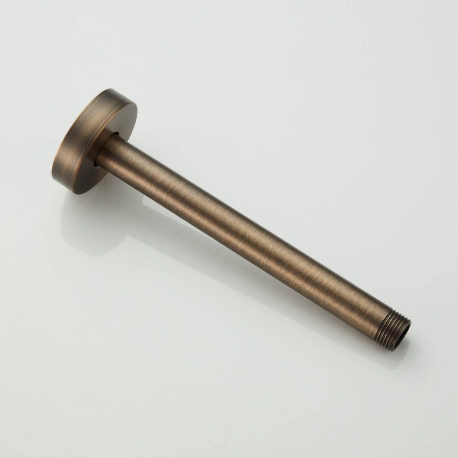 Saniclear Antique douchearm voor plafondmontage 20cm verouderd messing