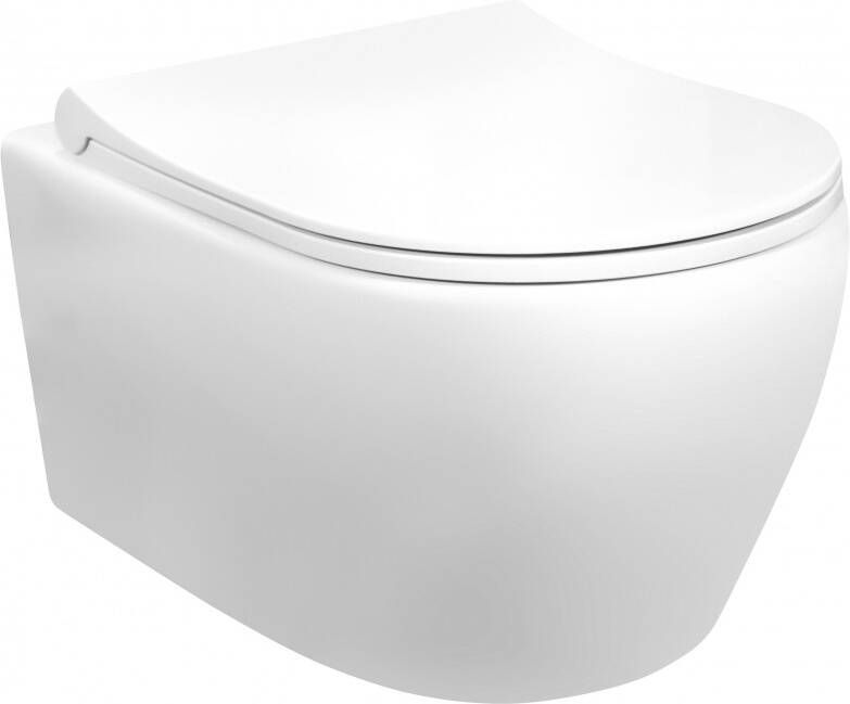 SaniGoods Acora toilet met RVS bidetsproeier wit mat
