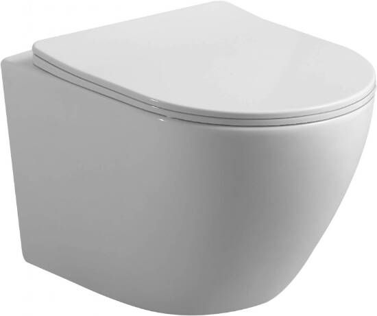 SaniGoods Livorno toiletpot inclusief softclose zitting 48cm glans wit