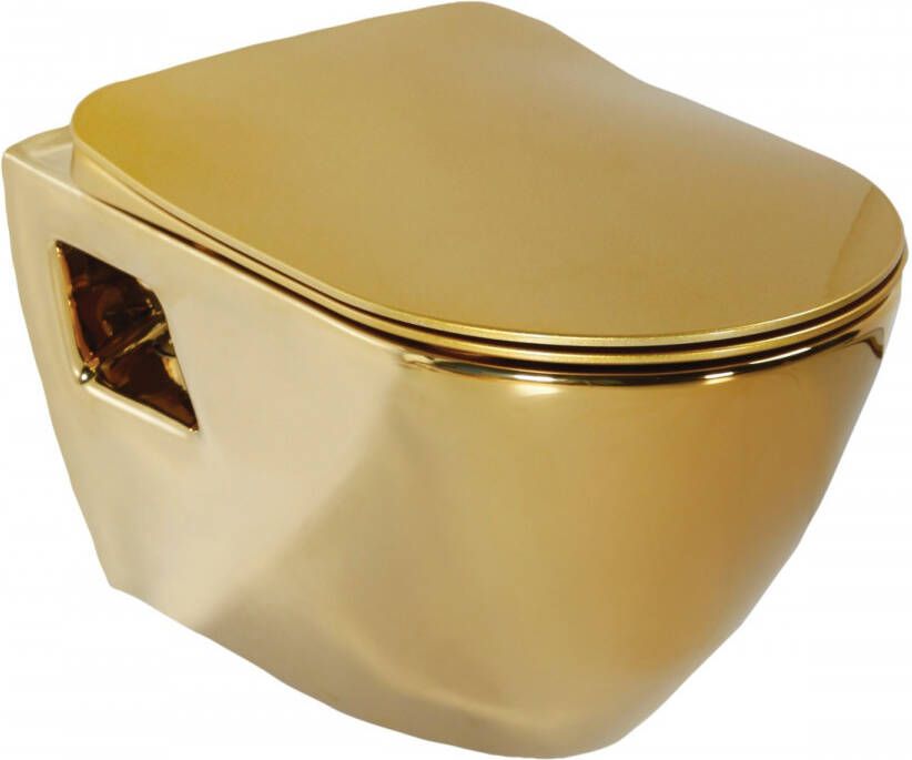 Creavit Wandcloset Terra | Rimless | Met bidet | Excl.Toiletzitting | Keramiek | Goud glans