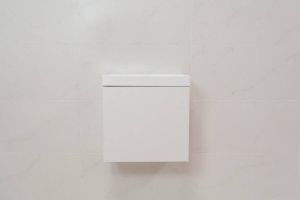 SaniGoods Minimo toiletmeubel 40cm mat wit met mat witte fontein zonder kraangat