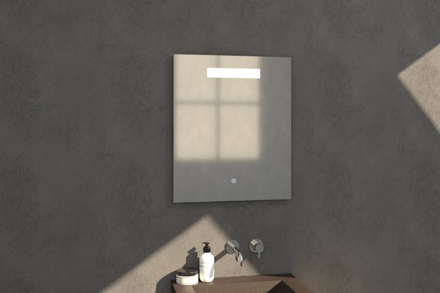 Sanituba Light spiegel 60x70 met LED verlichting Aluminium Geborsteld