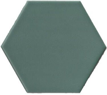 Terre d'Azur Hexagonale vloertegel groen 15x17cm hexagon F46
