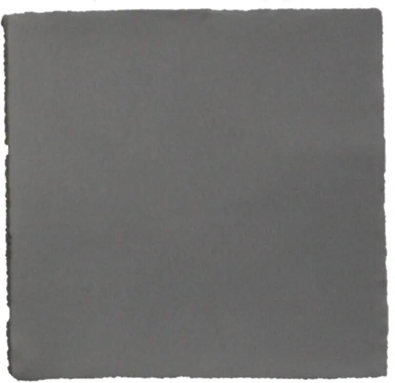 Terre d'Azur Almeria wandtegel 13x13cm grijs donker