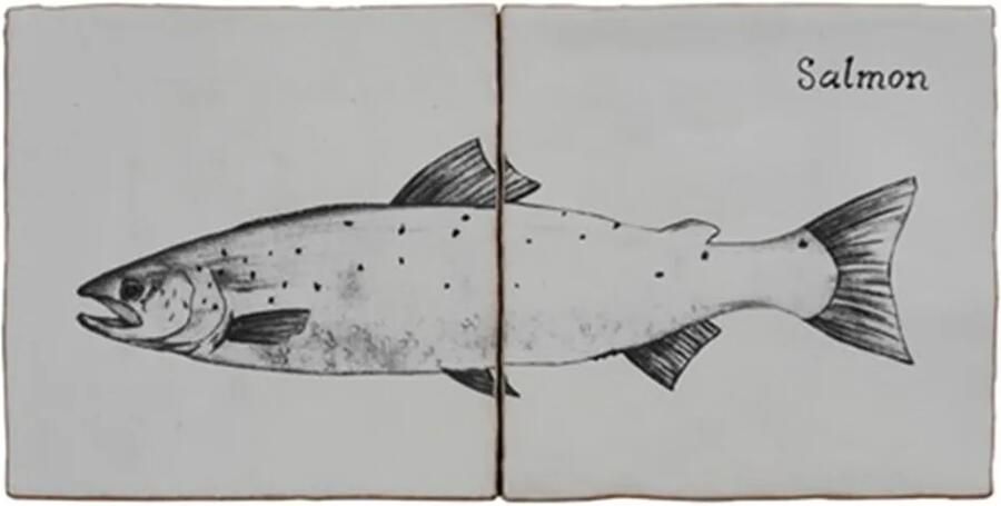 Terre d'Azur Malaga wandtegel met decor zalm 13x13cm beige 2 stuks