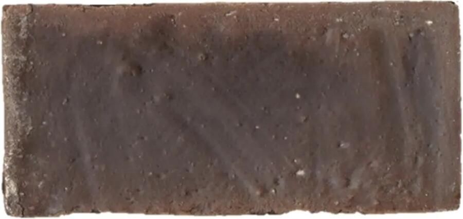 Terre d'Azur Terra Alta vloertegel 12x25cm bruin