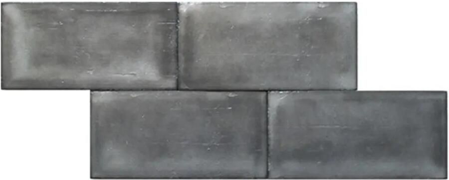 Terre d'Azur Terre-Spatula wandtegel 10x20cm zilver