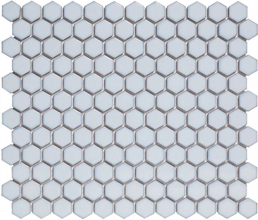 The Mosaic Factory Barcelona mozaïektegel 2.3x2.6x0.5cm Hexagon Geglazuurd porselein Zacht blauw met retro rand AFH23450 online kopen