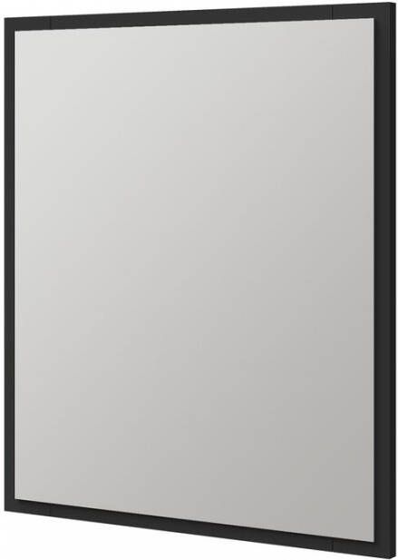Tiger S-line spiegel met frame 60x70cm mat zwart