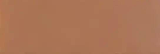 Vtwonen Tegels Chop vloertegel mattone 15x5cm terracotta