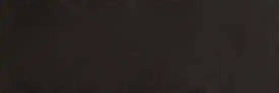 Vtwonen Tegels Chop vloertegel nero 15x5cm zwart