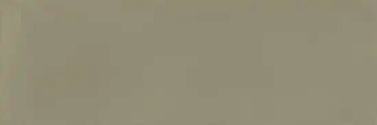 Vtwonen Tegels Chop vloertegel salvia 15x5cm olijfgroen