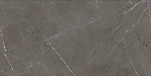 Abk Imoker Sensi Vloer- en wandtegel 60X120cm 8 5mm Rechthoek gerectificeerd Porcellanato gekleurd Stone Grey Glans 2018131