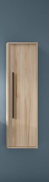 Adema Prime Essential Hoge Kast 120x34.5x34.5cm 1 deur beech (hout) MDF AQUA_HIGH_CABINET_Aliso