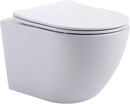 Aloni Pro Hangend Toilet 36x49x32cm wervelspoeling randloos met zitting softclose quick release compact glans wit PRO1925