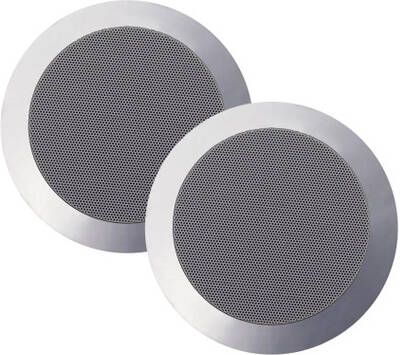 Aquasound Twist speakerset spatwaterdicht 45 watt kleur mat chroom (afm. 135 x 43 mm) SPKTWIST135-C