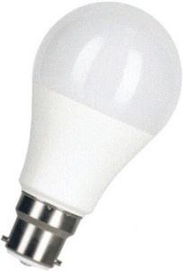 BAILEY Ecobasic Ledlamp L11cm diameter: 6cm Wit 80100038995