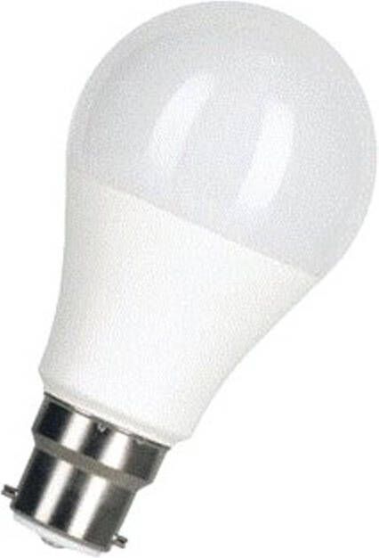 BAILEY Ecobasic Ledlamp L11cm diameter: 6cm Wit 80100038996