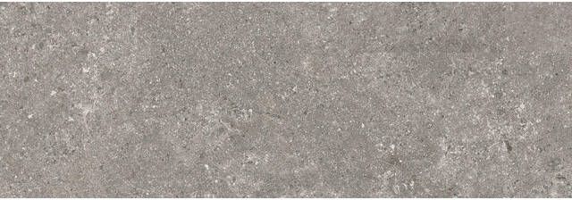 Baldocer Ceramica Baldocer Cerámica Stoneland 90x30cm 10.5mm gerectificeerd Grijs SW07314635-2